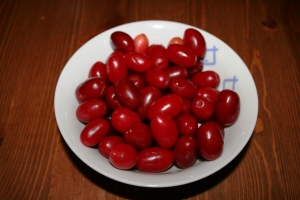 dřín jarní - Cornus mas