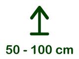 50 - 100 cm
