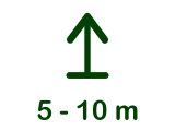 Rostliny s výškou 5 - 10 m 5 - 10 m