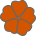 barva květu: oranžovohnědá květ