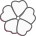 Kvt